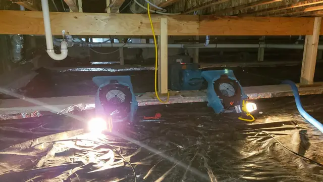 Crawl space lined with plastic sheeting and drying equipment under floor joists